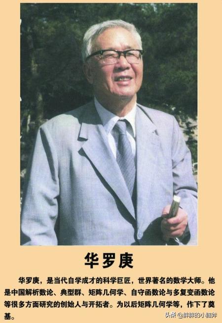 5个数学家的故事20字（数学家的故事五个）
