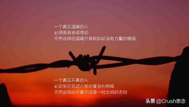团队正能量故事及感悟（团队正能量故事及感悟怎么写）