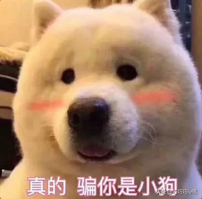 最能打动人心的情感话短句（最能打动人心的情感话短句图片）